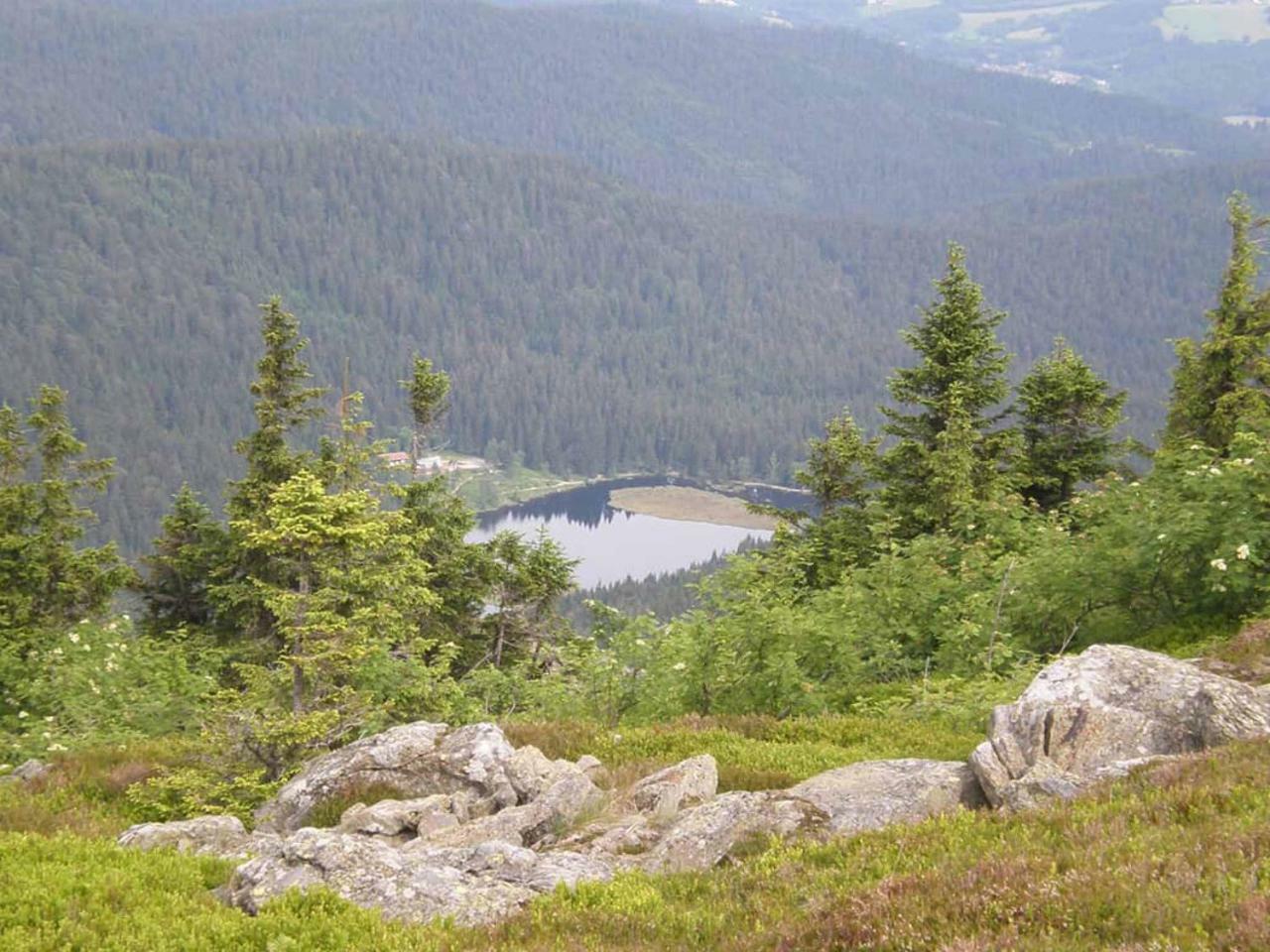 Gaestehaus Schmalzreich Lam Buitenkant foto