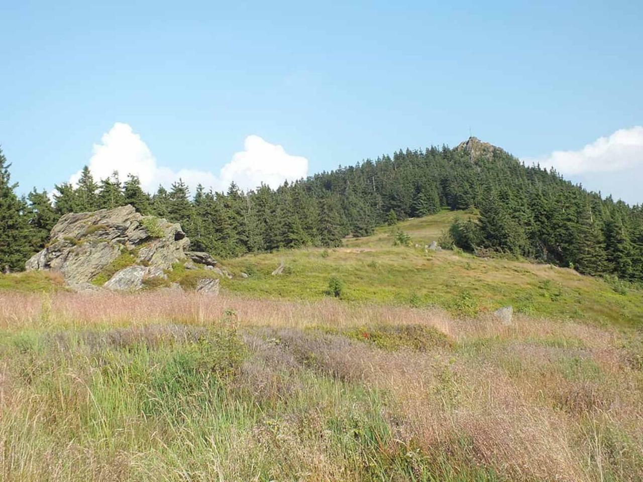 Gaestehaus Schmalzreich Lam Buitenkant foto